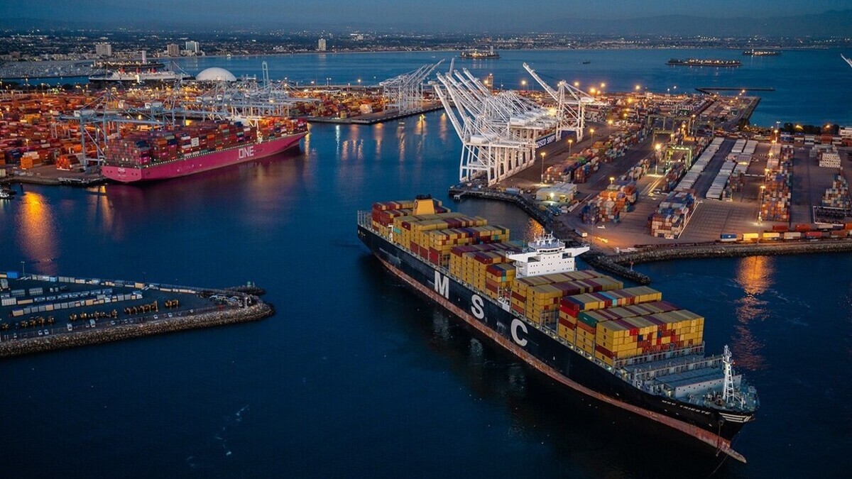 Container alliances in White House&rsquo;s crosshairs, FMC urged to increase oversight