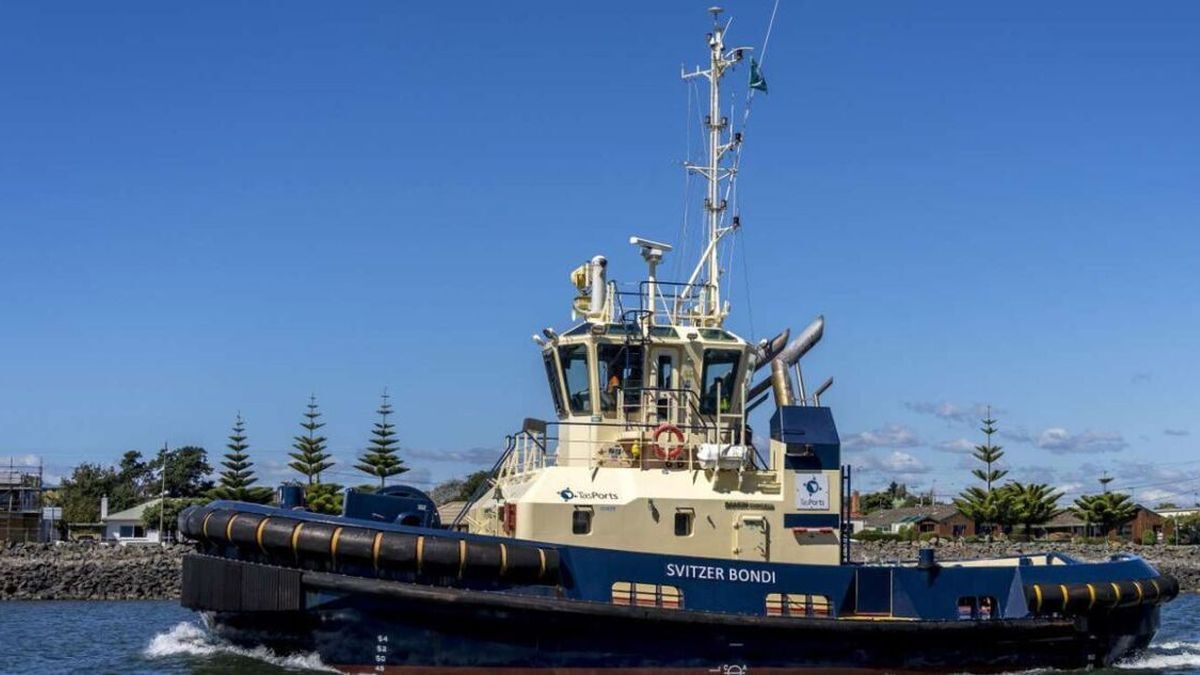 TasPorts hires harbour tug as salvage begins on two wrecked vessels