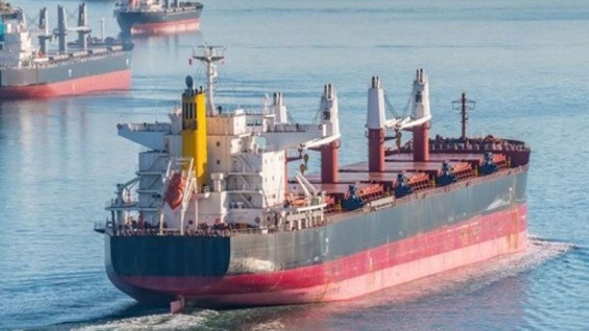 New market: jump in container carrying on bulk carriers