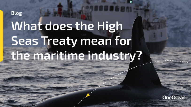 High Seas Treaty delivers more questions than answers for maritime operators