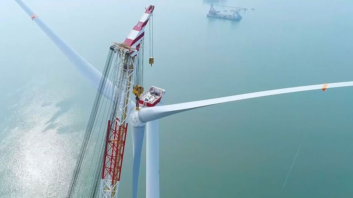 Renexia011-Beleolian_carosello_04 cropped.jpg