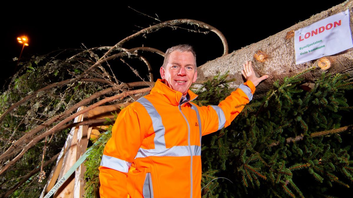 Riviera News Content Hub Ferry industry brings Christmas to the UK