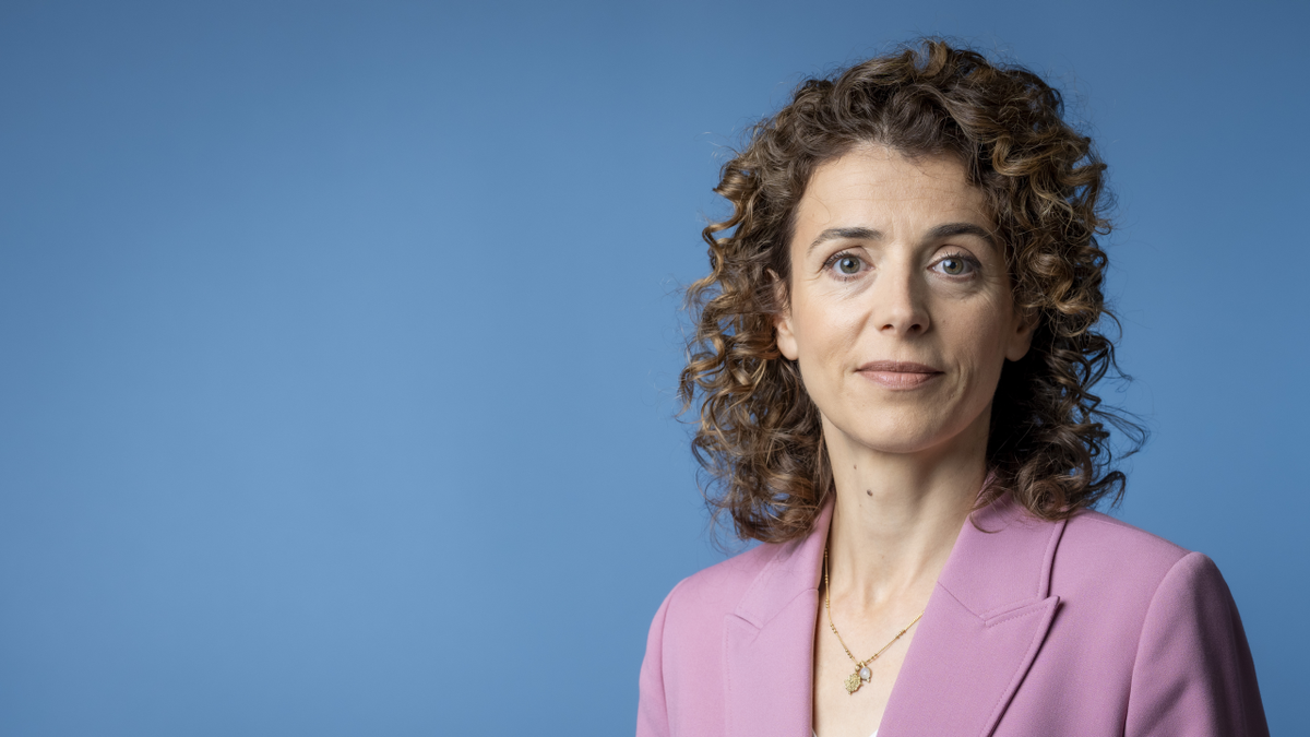 Dutch government expected to hold second offshore wind tender in 2026