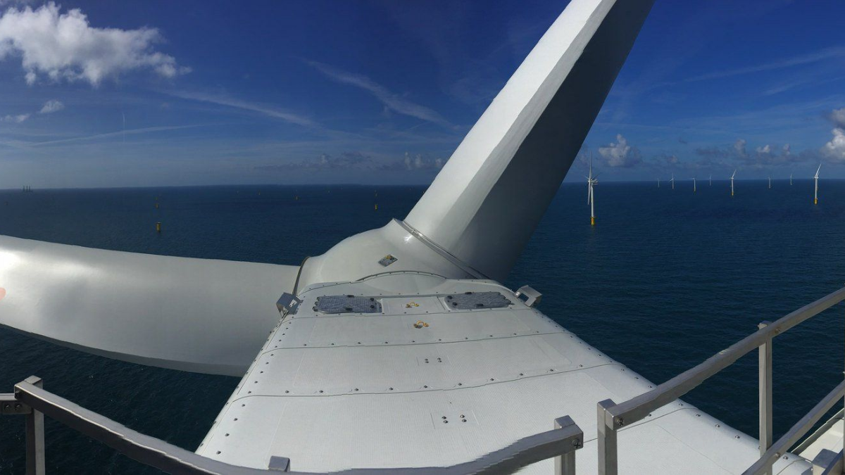 Pilot project tests more sustainable alternative to scour protection