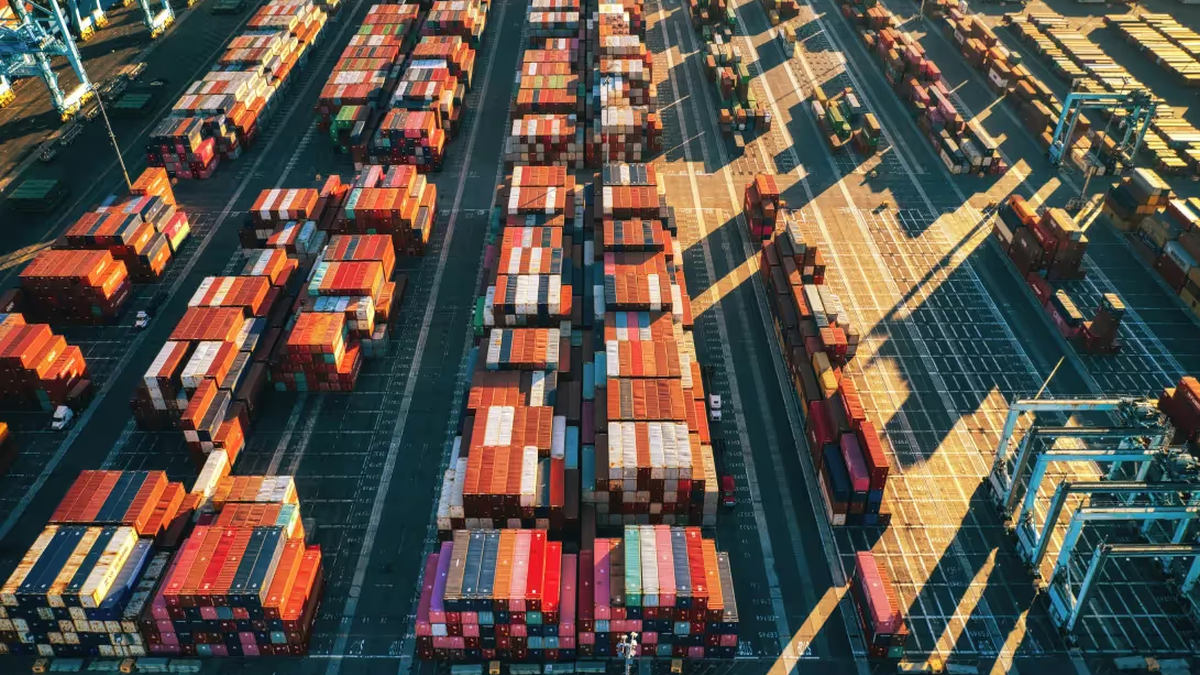 Zero Emission Port Alliance adds members in push to decarbonise container handling