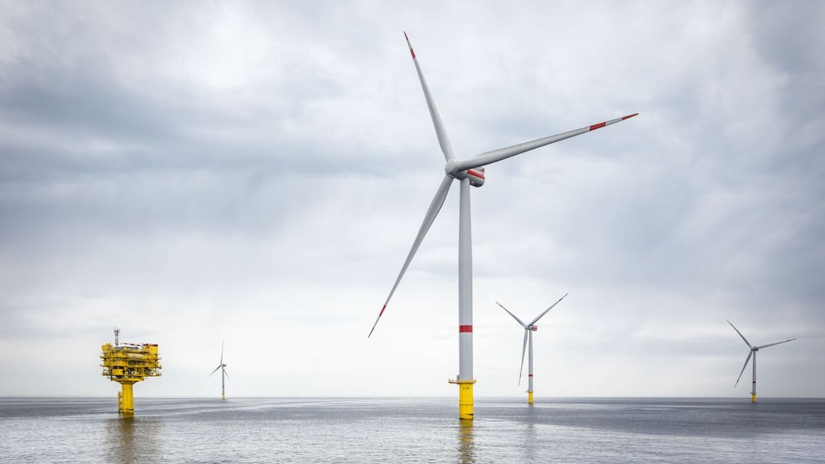 Innovative, non-invasive environmental monitoring technology tested at German windfarm