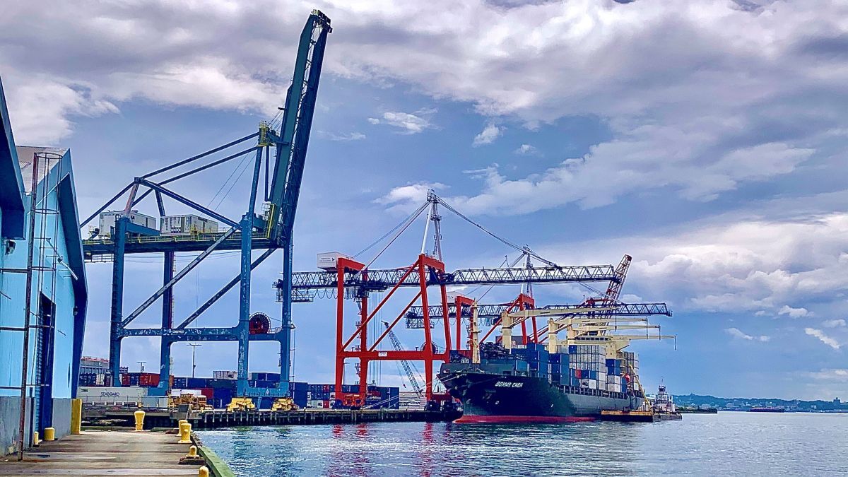 New York container port deploys TOS system to become ‘small but mighty’
