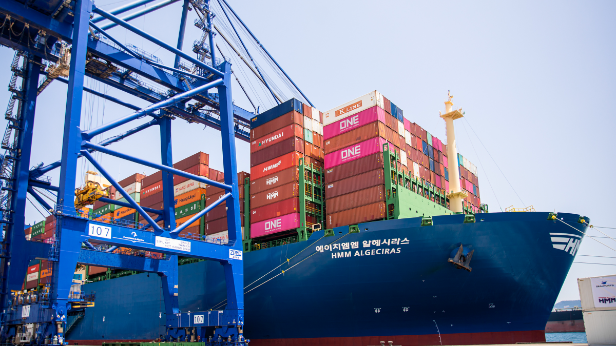 Box ship orders swell as ‘massive scrappage’ looms