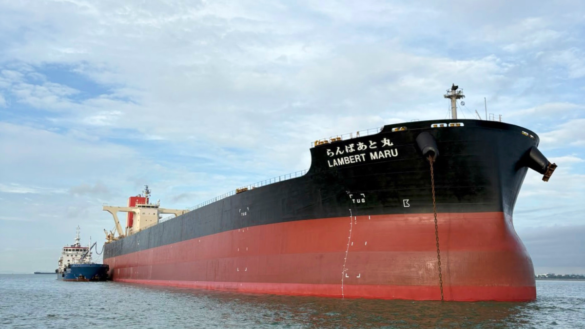 Biodiesel: an intriguing decarbonisation option, but questions remain