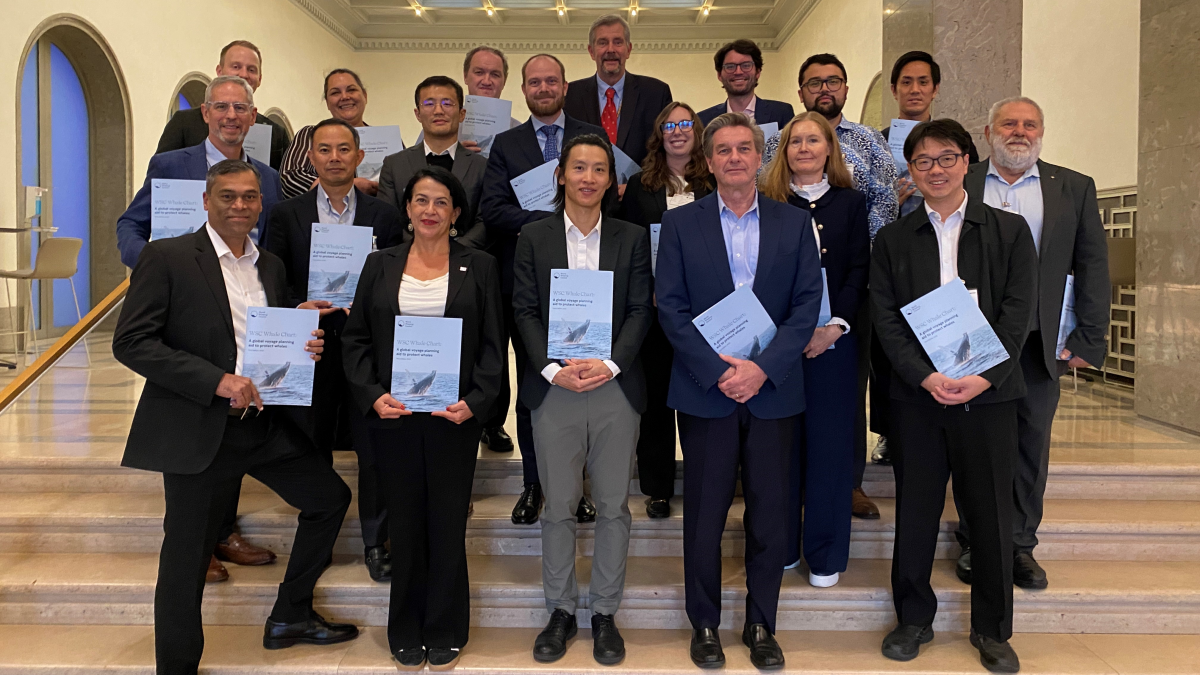 WSC's updated Whale Chart aims to prevent ship strikes, reduce noise