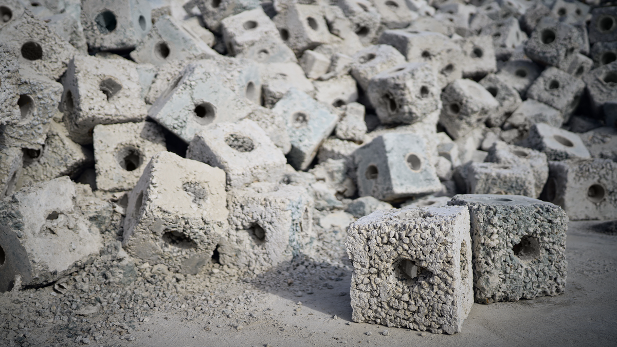 OranjeWind to use nature-inclusive, biodiversity-enhancing reefs around turbines