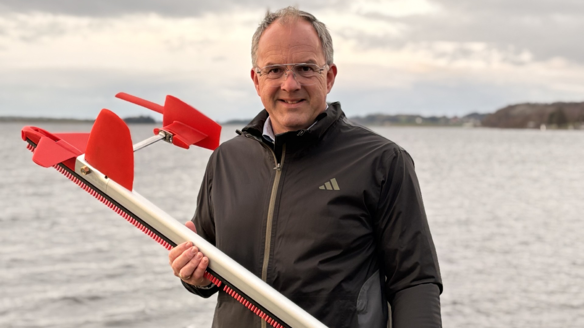 Translating first-mover advantage into market dominance