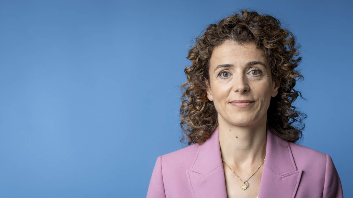 Limited scale of next Dutch offshore wind tender &lsquo;a worrying signal&rsquo;