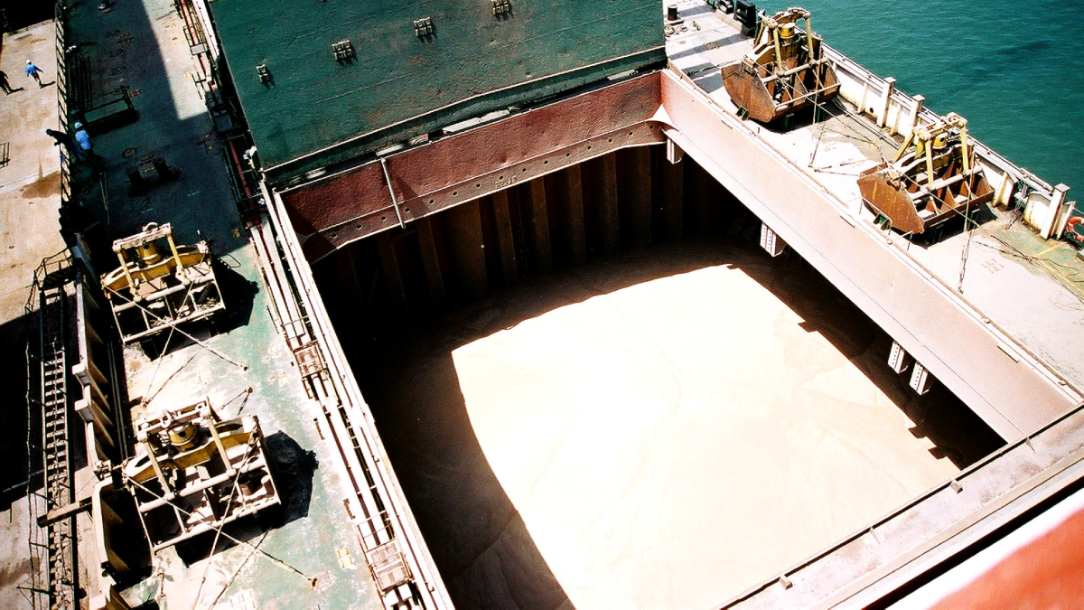 Shipping to benefit from increased wheat trade