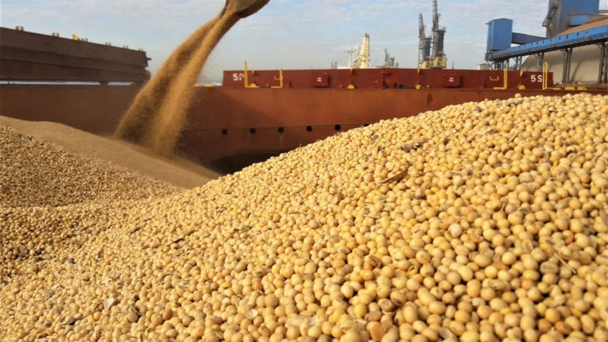 IGC expects soya bean trade growth to lift shipping demand
