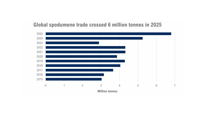 Dry bulk trade: firmer rates, delivery risks in 2026