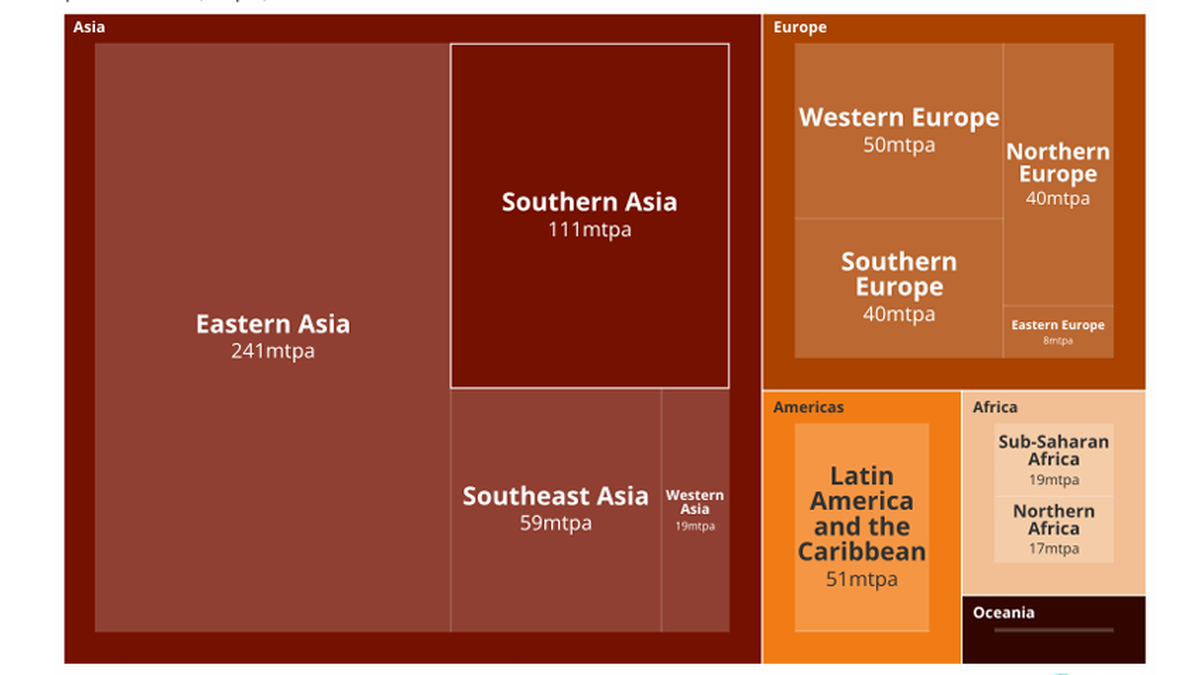 Middle East crisis: southern Asia LNG plans face economic strain