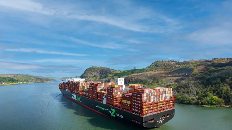 ZIM reaffirms support for Hapag-Lloyd merger amid rival bid reports