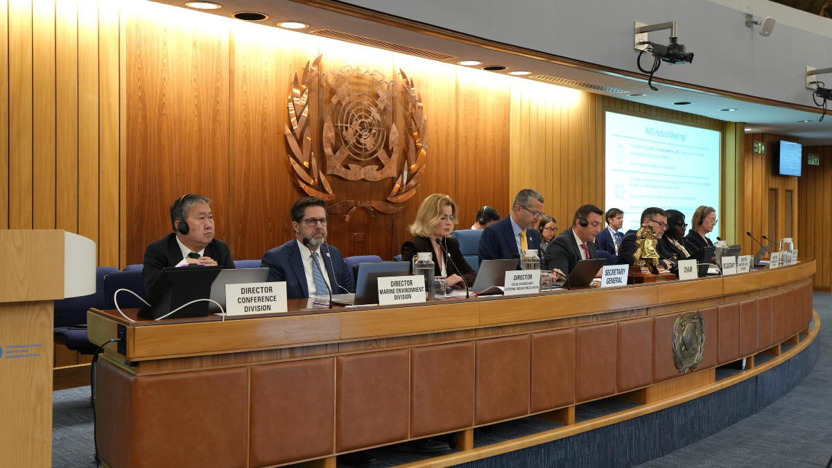 IMO clarifies &lsquo;one ship, one code&rsquo; for gas carriers using ammonia as fuel