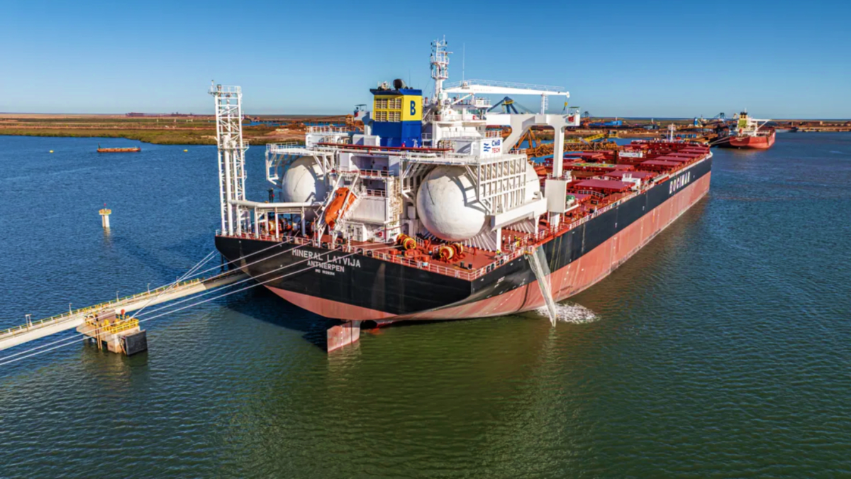 Dry bulk revival fuels fleet renewal surge