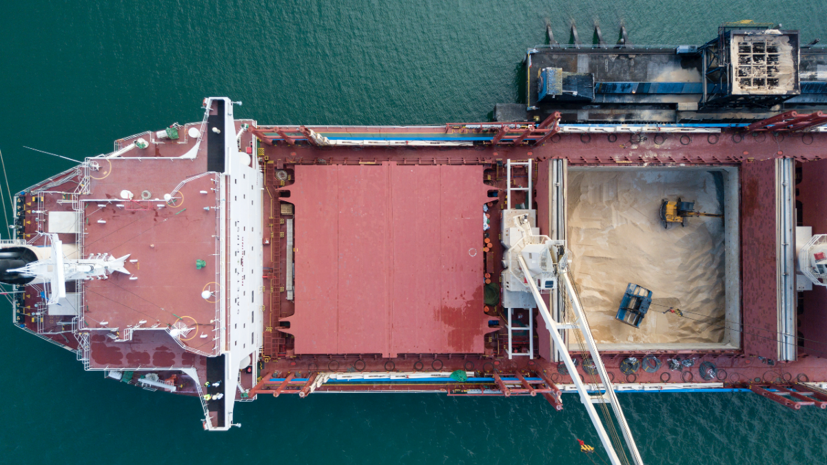 Owners &lsquo;pump the brakes&rsquo; on methanol-, ammonia- and hydrogen-capable vessels